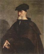 Sebastiano del Piombo portrait of andrea doria oil on canvas